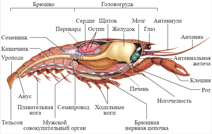 Документ без названия